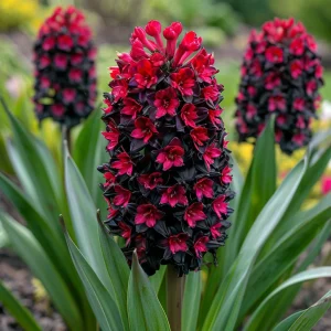 Гиацинт Джем Стоун купить по цене от 2099р. в интернет-магазине «Посадика» с доставкой почтой в в Абакане и по всей России – [изображение №1].