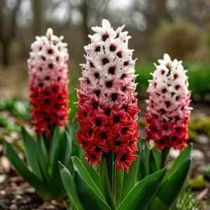 Гиацинт Скай Гарден купить по цене от 2099р. в интернет-магазине «Посадика» с доставкой почтой в в Абакане и по всей России – [изображение №1].